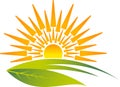 Eco sunrise logo