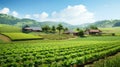 eco sustainable farm