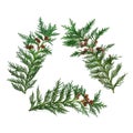 Eco Symbol of Cedar Cypress Leaves Royalty Free Stock Photo