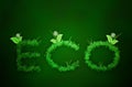 Eco text of grass in green background