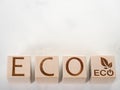 ECO text on wooden cubes as a concept to conservation ecology