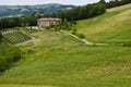 Eco-tourism - Farmhouse, vineyards and field