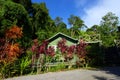 Eco tourism homestay - cottage beside jungle