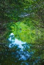 Eco-Tourism mangroves everglades