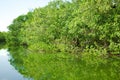 Eco-Tourism mangroves everglades