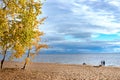 Eco-trail Komarovsky Bereg. Sunny autumn day on the shore of the Gulf of Finland