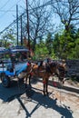 Eco transport with horse on tropical islands Gili,Indonesia