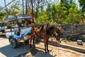 Eco transport with horse on tropical islands Gili,Indonesia