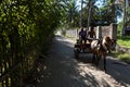 Eco transport on tropical islands Gili