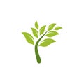 Eco Tree Leaf