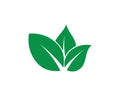 Eco Tree Leaf Logo shutterstock