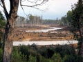 Eco-vandalism in Tasmanian forests Royalty Free Stock Photo