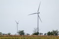 Eco wind electro generators rotating in field