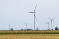 Eco wind electro generators standing in field