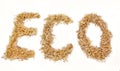 Eco word of sawdust isolated