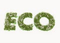 Eco word typed by flowers and grass