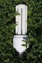 Ecobulb Royalty Free Stock Photo