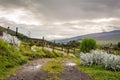 Ecofarm Cotopaxi National Park