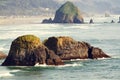 Ecola state park Royalty Free Stock Photo