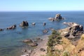 Ecola state park, Oregon coast & Pacific ocean.
