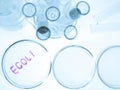 Ecoli bacteria Royalty Free Stock Photo