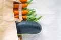 Ecologic Bag full of Vegetables Royalty Free Stock Photo