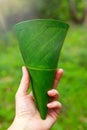 Ecologic cup made from leaves Royalty Free Stock Photo