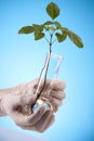 Ecologic laboratory Royalty Free Stock Photo