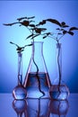 Ecologic laboratory Royalty Free Stock Photo