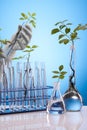 Ecologic laboratory Royalty Free Stock Photo