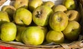 Ecological apples Royalty Free Stock Photo