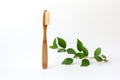 Ecological bamboo toothbrush and fresh green leaves on a white background.