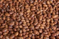 Ecological brown beans