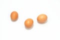 Ecological brown eggs with white chicken specks isolated
