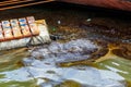 Ecological catastrophy. Close-up. Spill of oil products into the sea.