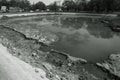 Ecological catastrophy. Drying lake in city park. Dry swamp lake disappears, idea and concept of environmental conservation,