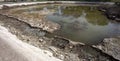 Ecological catastrophy. Drying lake in city park. Dry swamp lake disappears, idea and concept of environmental conservation, Royalty Free Stock Photo