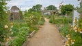 Comunity garden with green vegetables and colorful flowers