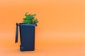 Garbage pot with a green fresh plant on an orange background.