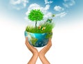 Ecological concept of the environment with the cultivation of trees on the ground in the hands. Planet Earth. Physical Royalty Free Stock Photo