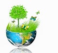 Ecological concept of the environment with the cultivation of trees . Planet Earth. Physical globe of the earth Royalty Free Stock Photo