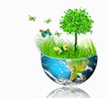 Ecological concept of the environment with the cultivation of trees . Planet Earth. Physical globe of the earth Royalty Free Stock Photo