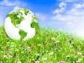 Ecological concept of the environment with the cultivation of trees . Planet Earth. Physical globe of the earth