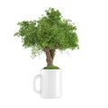 Ecological concept. An evergreen tree on a green lawn growing in a circle standing on a shiny table. the 3D illustration