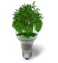 Ecological concept: green tree in a broken lamp Royalty Free Stock Photo