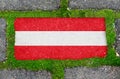 On the sidewalk in green moss, paving slabs with the image of the flag of Austria. Royalty Free Stock Photo