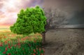 Ecological concept with tree and climate changing landscape Royalty Free Stock Photo