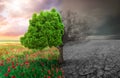 Ecological concept with tree and climate Royalty Free Stock Photo