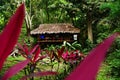 Ecological cottage in Minca, Sierra Nevada de Santa Marta Mountain