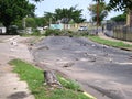 Ecological damage: Trees in puerto ordaz city, Venezuela, are being cut down in the protests of this South American country. M